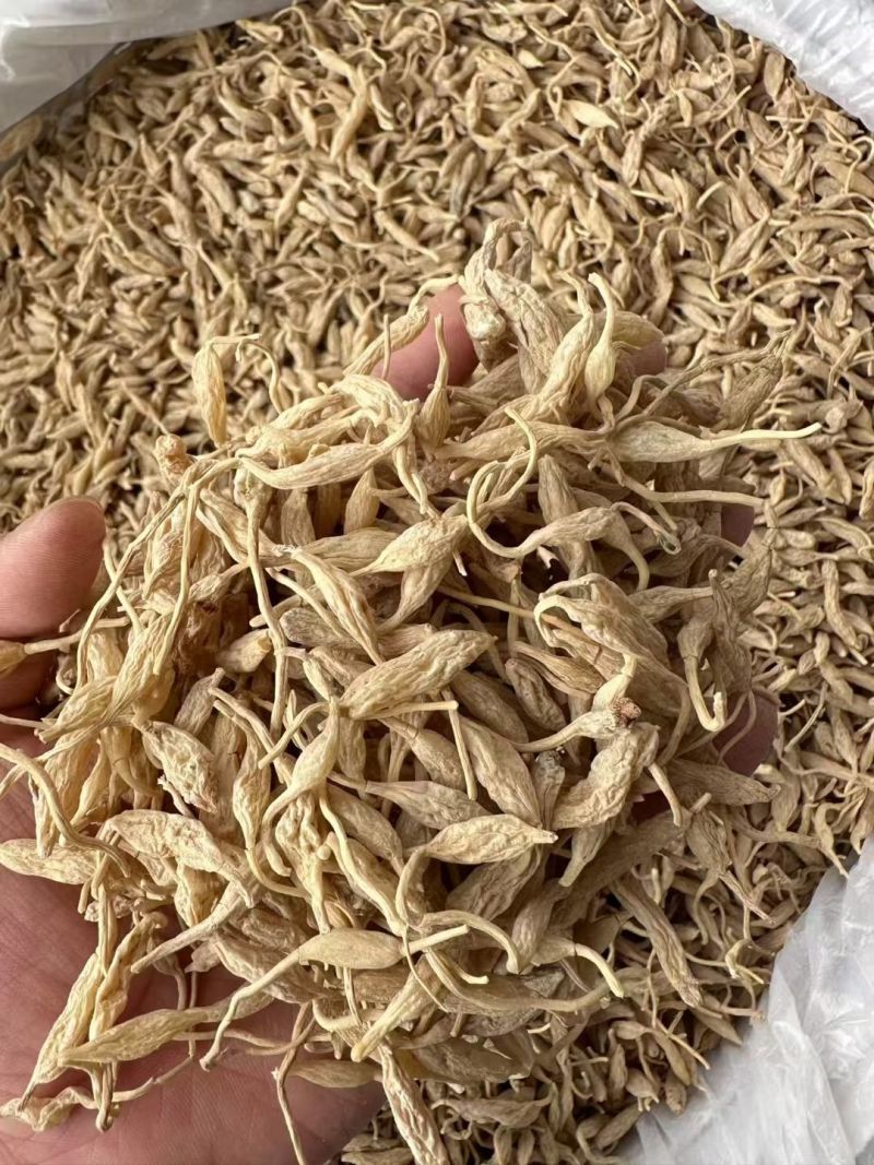 麦冬正宗正品四川绵阳特级泡水煲汤搭配干货党参黄芪西洋参泡