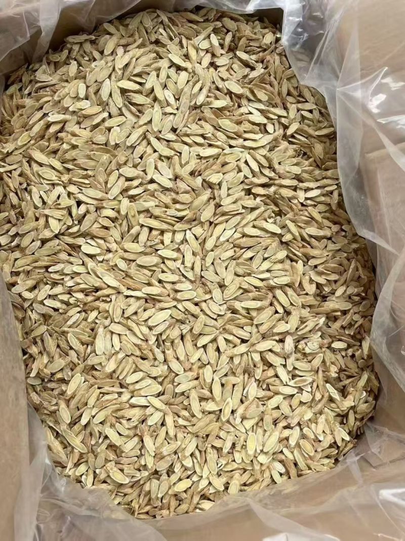 甘肃原产地黄芪野生特级农家无硫***北芪片搭配当归包邮