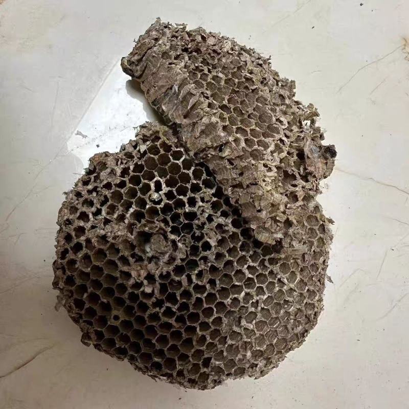山蜂房马蜂窝黄蜂房家蜂房蜜蜂房中药材蜂巢批发零售