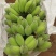大量供应苹果蕉粉蕉产地现摘现发品质保证欢迎来电