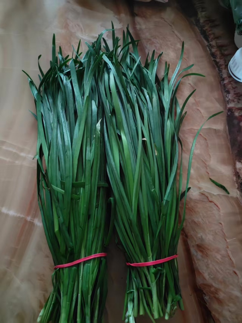 精品小叶韭菜大量供应，对接全国客户，基地直发