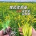 黄花菜大量有货对接全国客户，一手货源，欢迎咨询