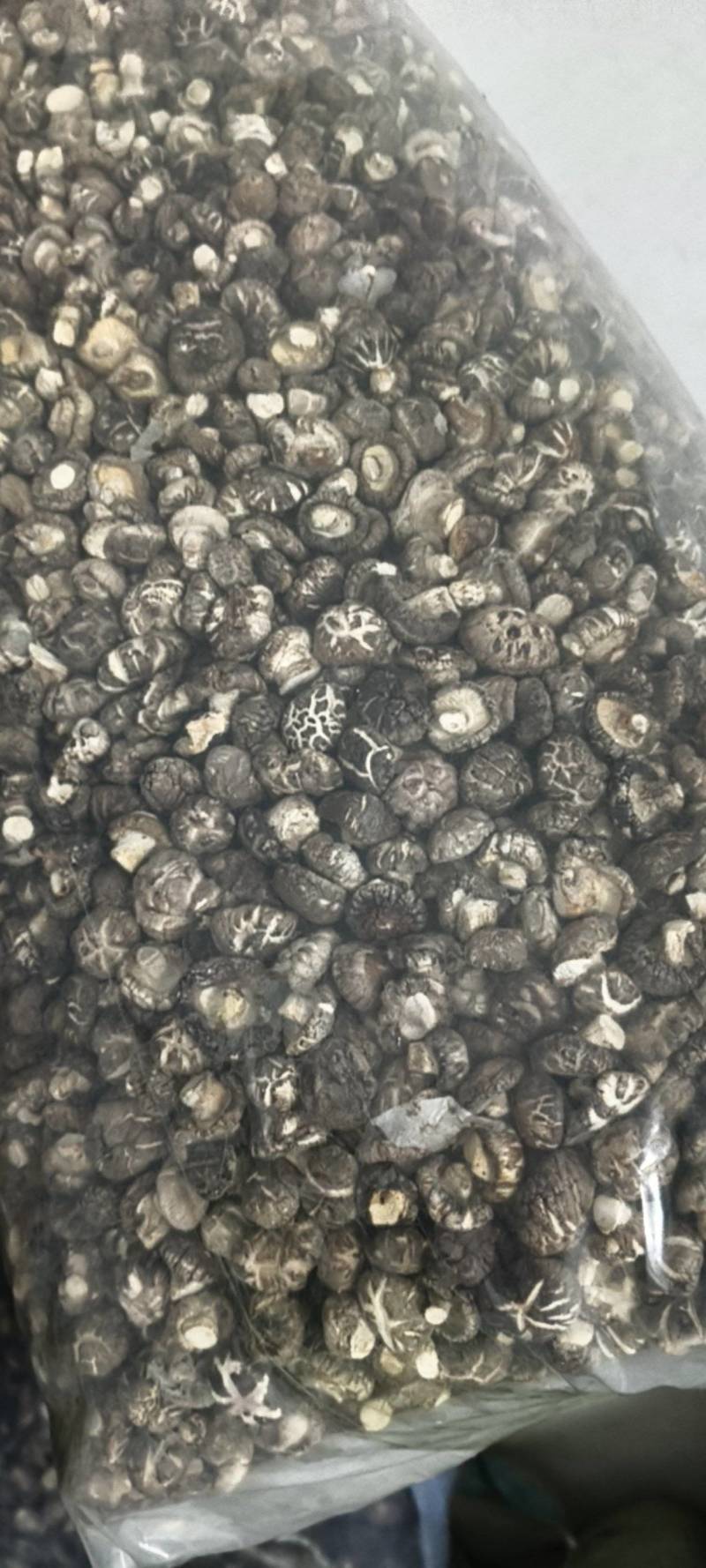 干香菇