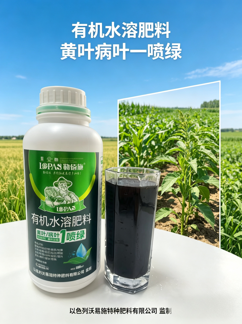 黄叶病叶一喷绿含氨基酸水溶肥料快速生根