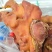 【卤味】猪头肉全熟熟食可对接餐饮店商超宴席酒楼大量供
