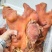 【卤味】猪头肉全熟熟食可对接餐饮店商超宴席酒楼大量供