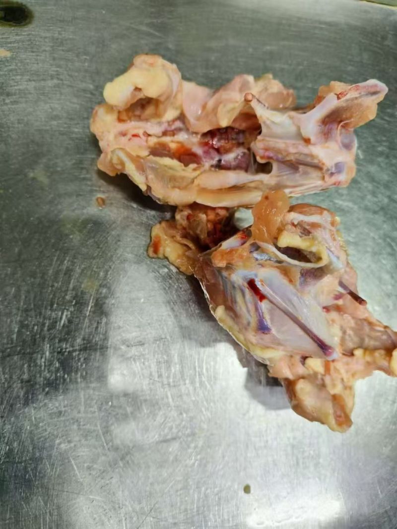 鸡架