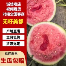 江苏一手货源无籽美都西瓜清甜可口价格美丽对接全国质量好