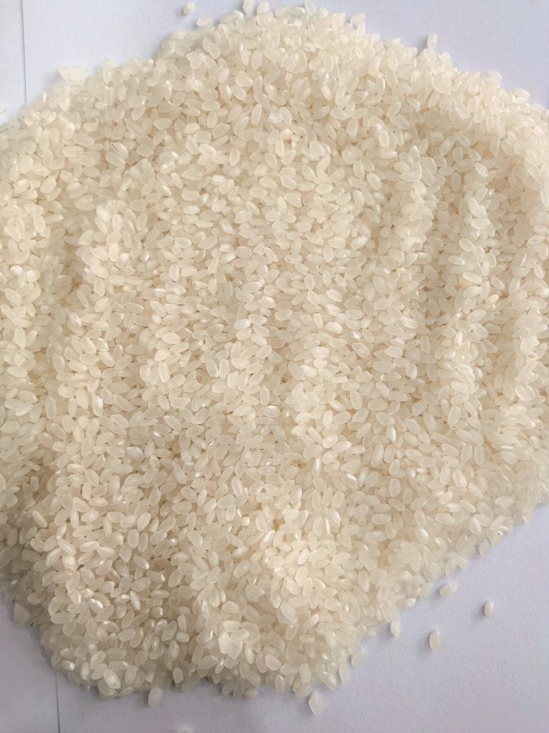 苏北灌江大米珍珠米源自大地的心跳色泽晶莹圆润可厂考察