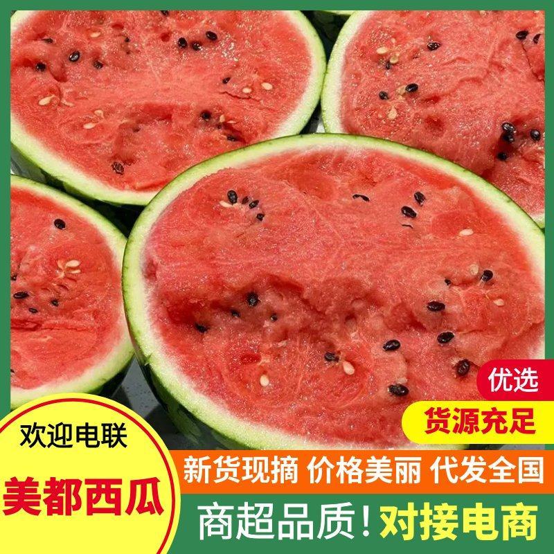 江苏一手货源美都西瓜价格美丽整车有货量大从优欢迎询价