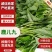 鹿儿九新鲜上市，基地直发，品质保障，价格美丽，欢迎电联