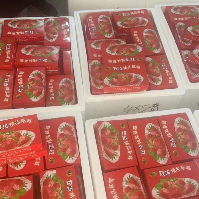 云南夏季草莓奶茶店蛋糕店冰糖葫芦专用