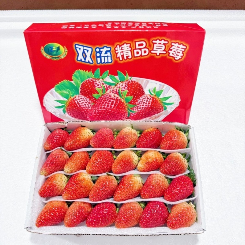 云南夏季草莓奶茶店蛋糕店冰糖葫芦专用