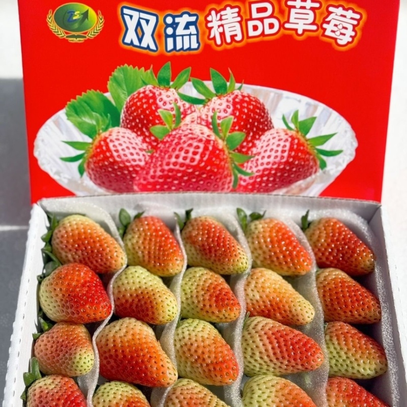 云南夏季草莓奶茶店蛋糕店冰糖葫芦专用