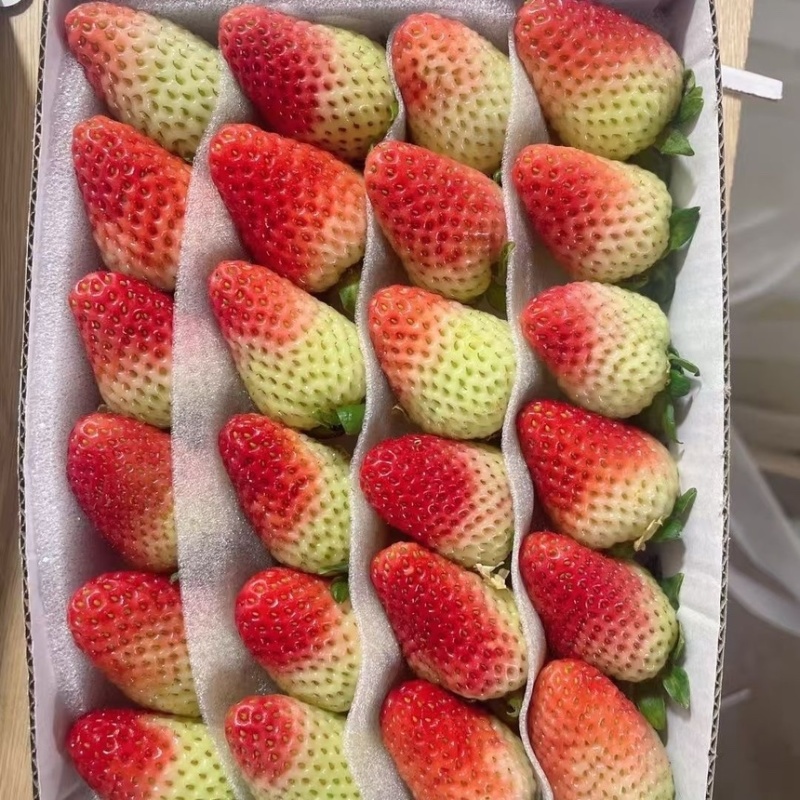 云南夏季草莓奶茶店蛋糕店冰糖葫芦专用