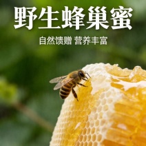 蜂巢深山野生蜂蜜纯正农家盒装天然蜂窝整块蜜蜂自产正宗百花