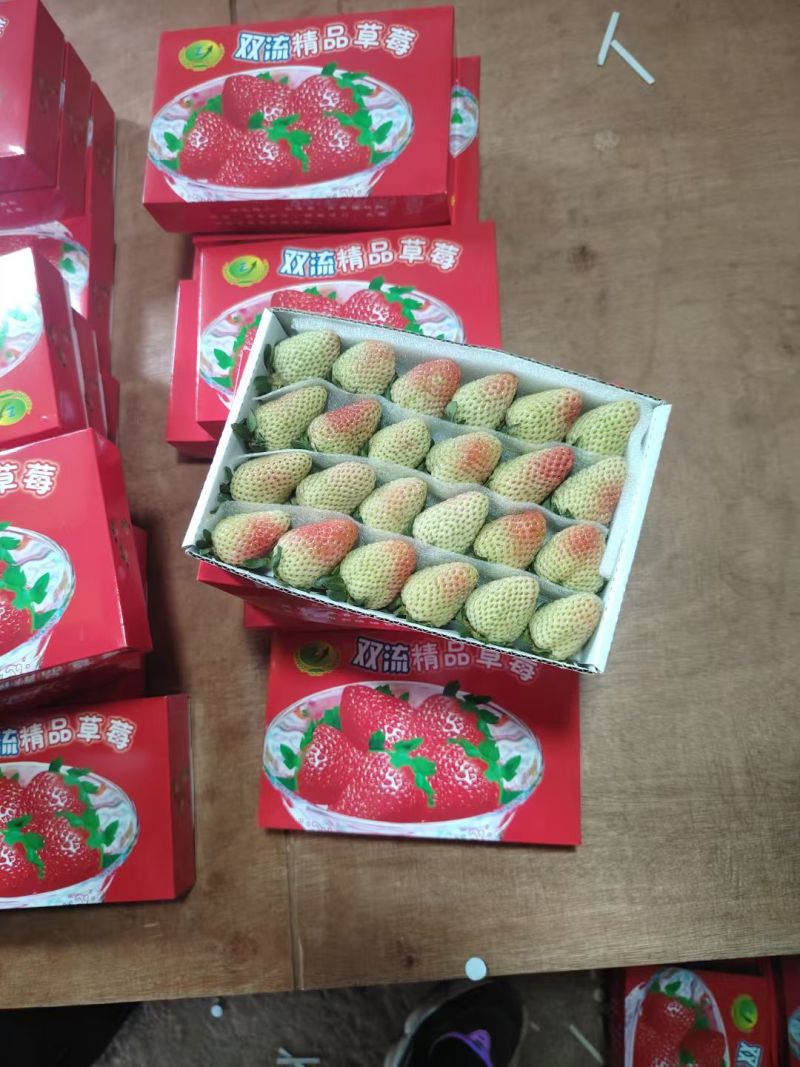 鲜甜多汁当季草莓，新鲜采摘直供，颗颗饱满，入口香甜，健康