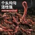 河北活体蚯蚓养殖场直发提供技术指导量大从优欢迎来电