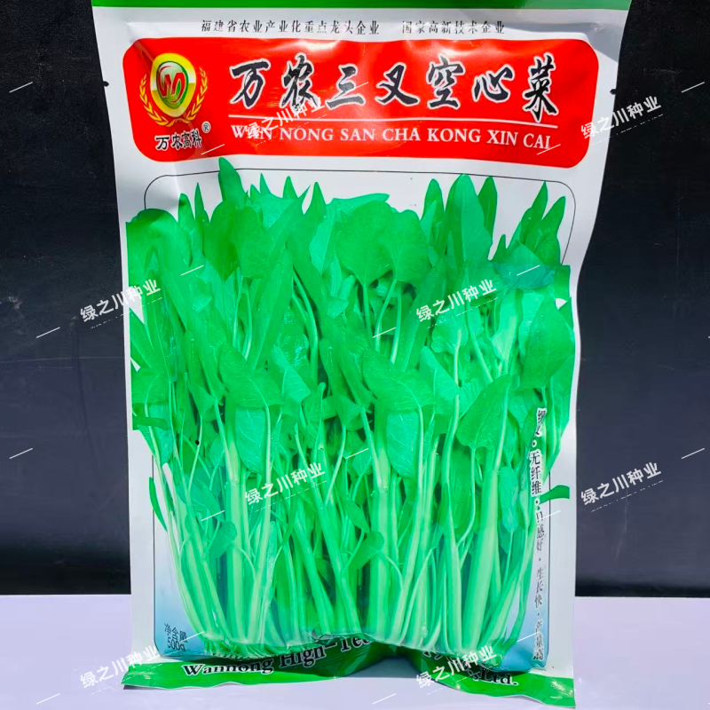 万农三叉空心菜种子高纯度一籽三叉空心菜种籽耐热通心菜种子