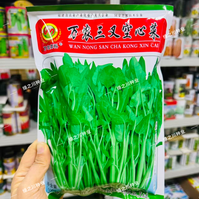 万农三叉空心菜种子高纯度一籽三叉空心菜种籽耐热通心菜种子