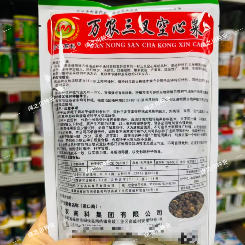 万农三叉空心菜种子高纯度一籽三叉空心菜种籽耐热通心菜种子