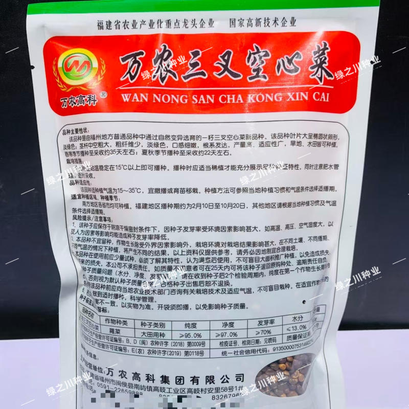 万农三叉空心菜种子高纯度一籽三叉空心菜种籽耐热通心菜种子