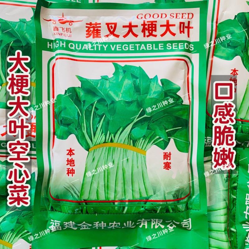 蕹叉大梗大叶空心菜种子脆嫩高产耐低温青梗空心菜种籽蕹菜种