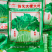 蕹叉大梗大叶空心菜种子脆嫩高产耐低温青梗空心菜种籽蕹菜种