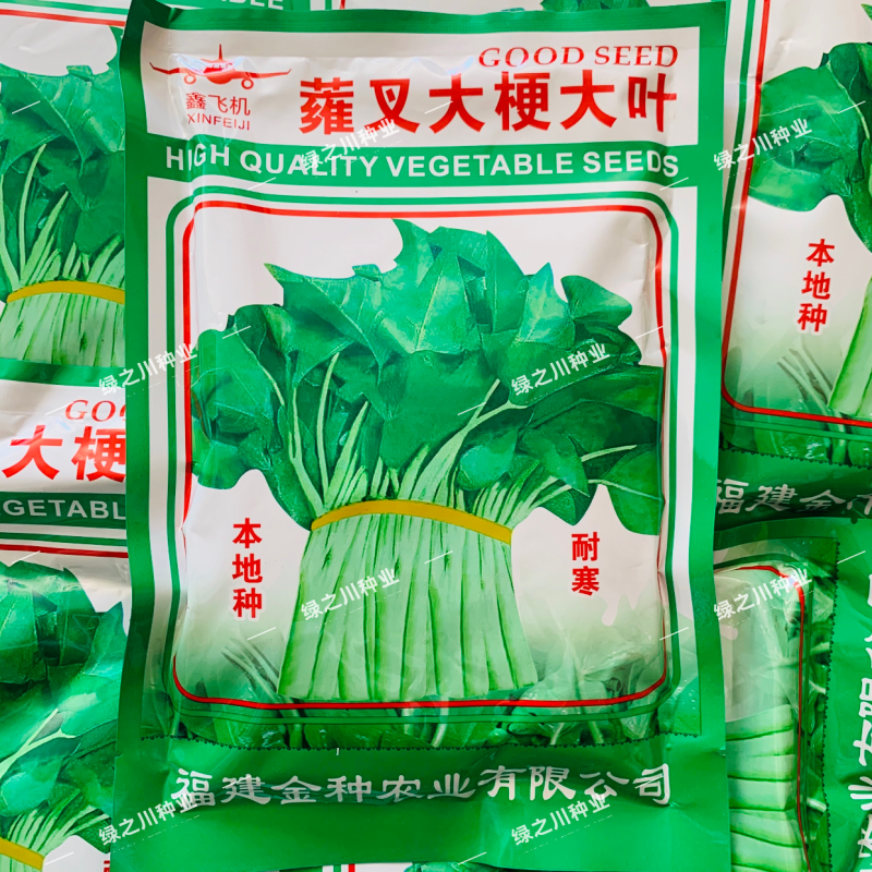 蕹叉大梗大叶空心菜种子脆嫩高产耐低温青梗空心菜种籽蕹菜种