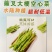 蕹叉大梗大叶空心菜种子脆嫩高产耐低温青梗空心菜种籽蕹菜种