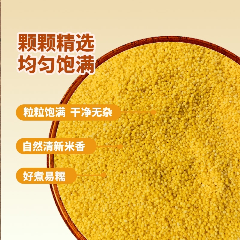 金苗K1黄小米，遍向全国招商，厂家直销质量一级视频看货