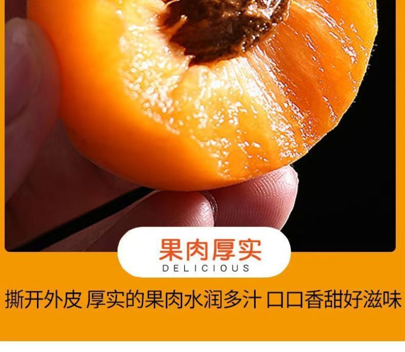 陕西新鲜应季大黄杏支持全网一件代发，欢迎各大平台对接合作