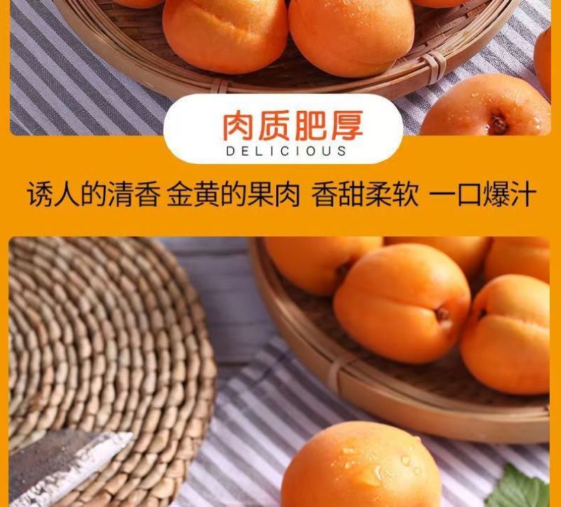 陕西新鲜应季大黄杏支持全网一件代发，欢迎各大平台对接合作