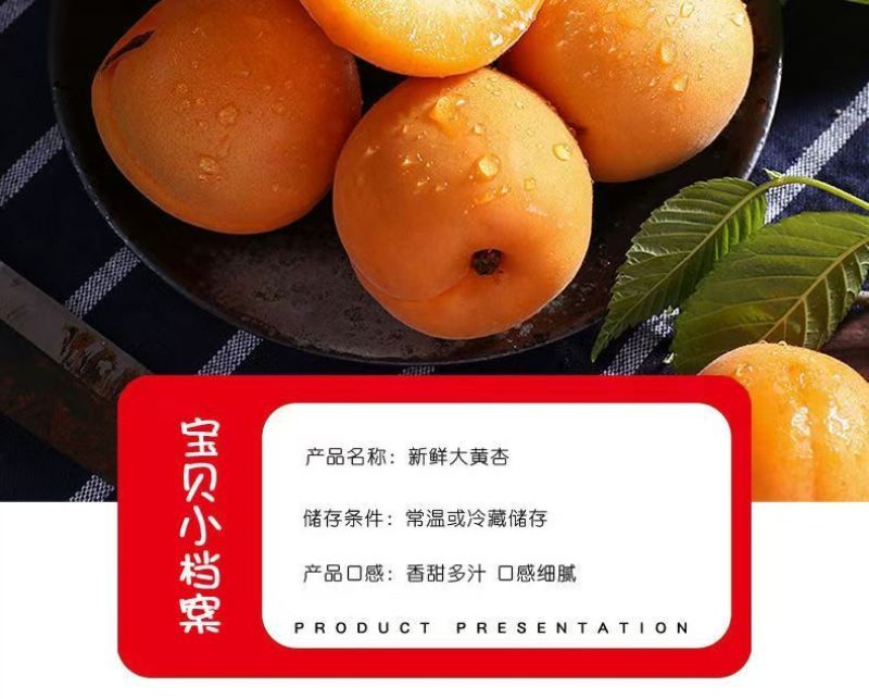 陕西新鲜应季大黄杏支持全网一件代发，欢迎各大平台对接合作