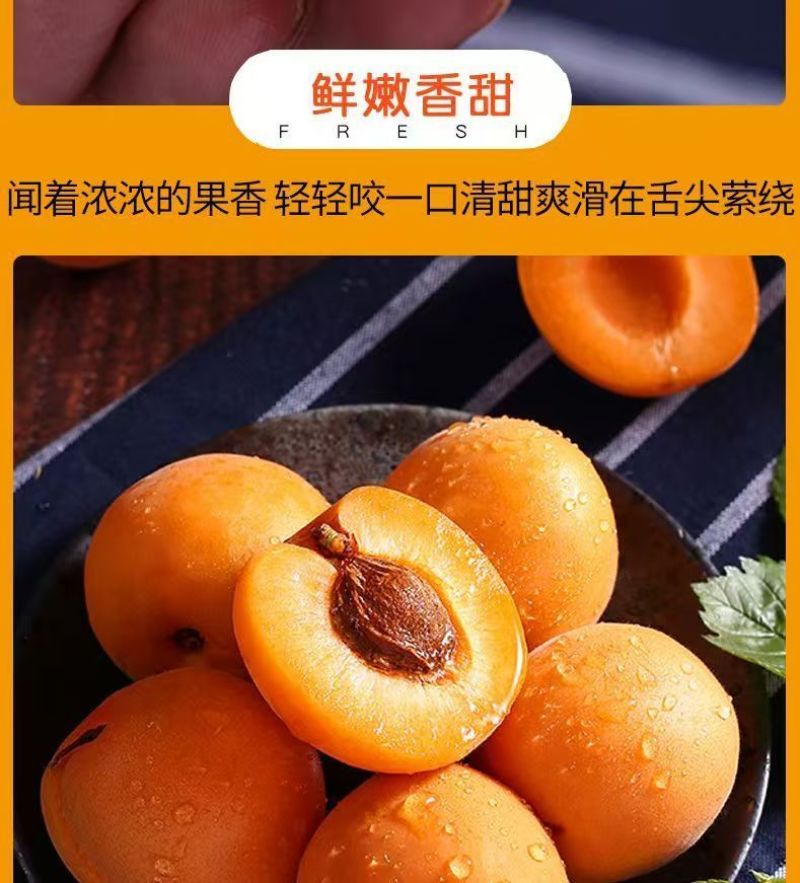 陕西新鲜应季大黄杏支持全网一件代发，欢迎各大平台对接合作