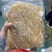 【卤味】鸭肠白水鸭肠熟鸭肠卤鸭肠商用批发