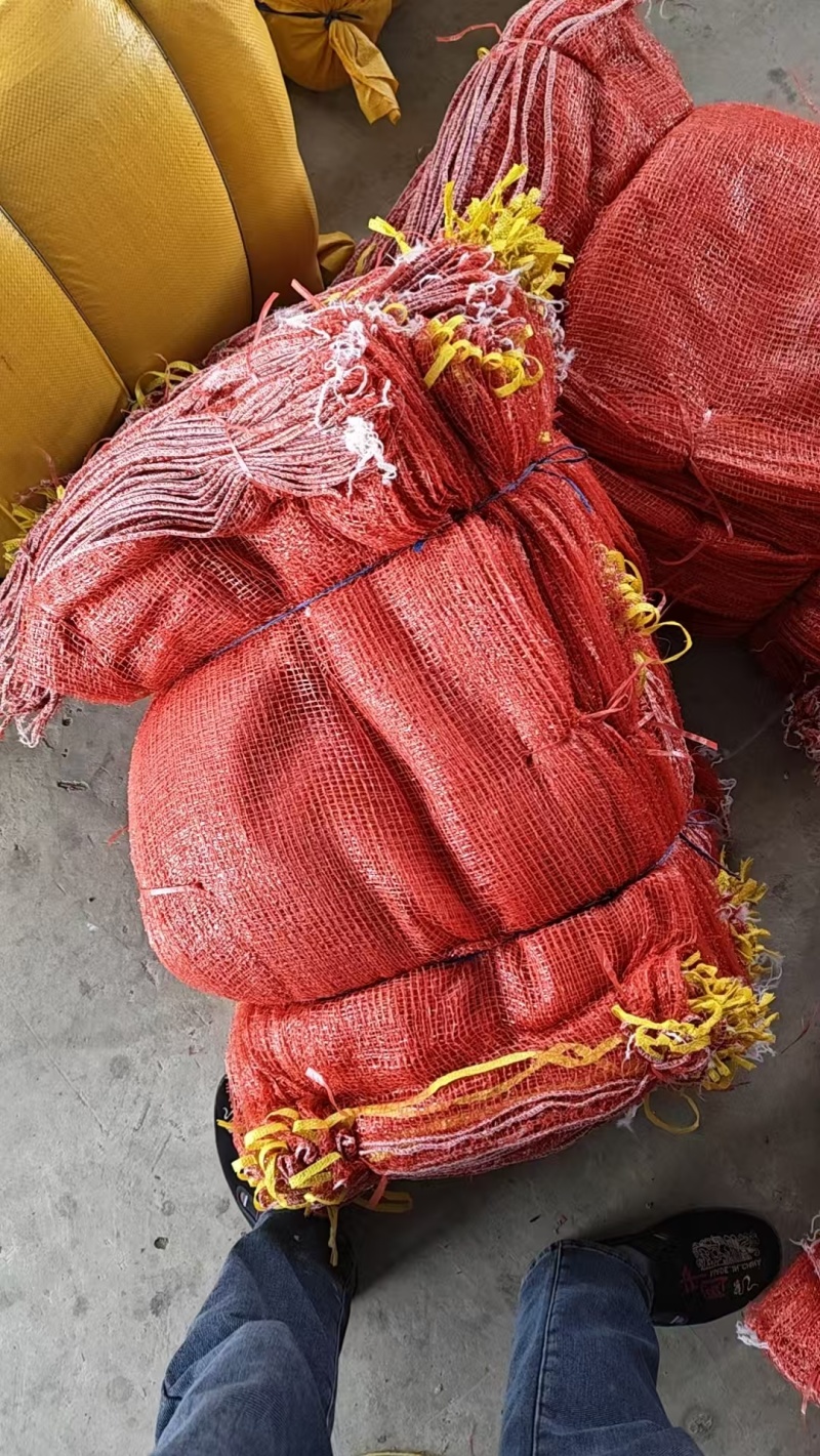 山西网袋新鲜上市价格美丽对接全国量大从优质量好走货快