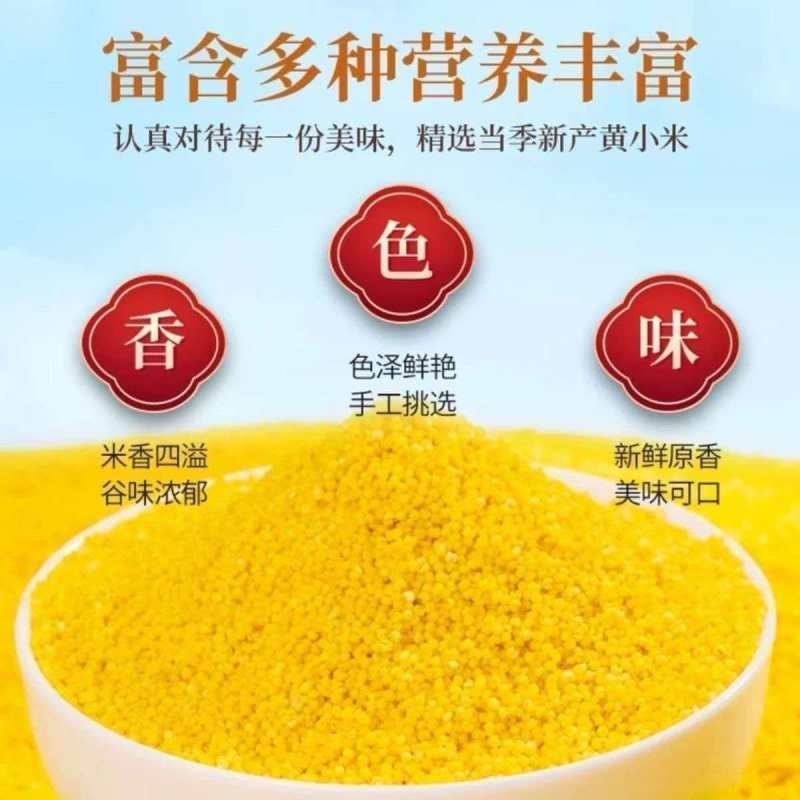 常年加工各品种小米，品种齐全，质量一级，价格美丽欢迎咨询
