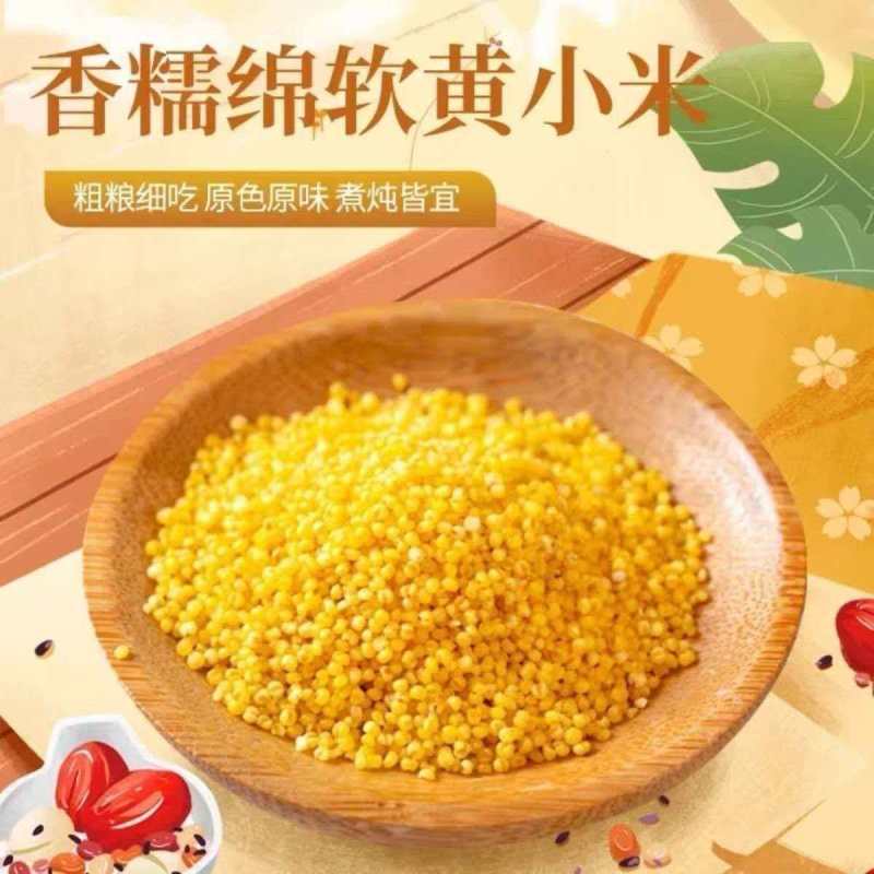 常年加工各品种小米，品种齐全，质量一级，价格美丽欢迎咨询