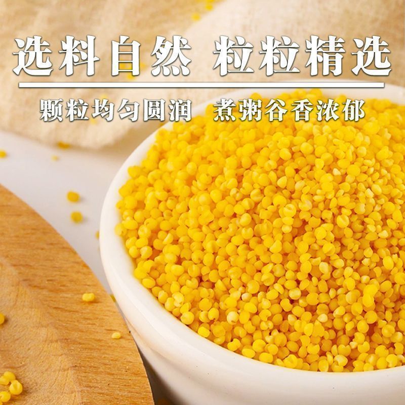 常年加工各品种小米，品种齐全，质量一级，价格美丽欢迎咨询