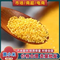 【产地直发】2冀丰大金苗黄小米热销中货源充足代发全国