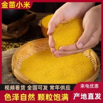 常年加工各品种小米，品种齐全，质量一级，价格美丽欢迎咨询