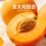 四川金太阳甜杏高山富晒大量上市现货供应每天现摘现发