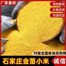 厂家直销小米，品种多价格低，需要与我联系