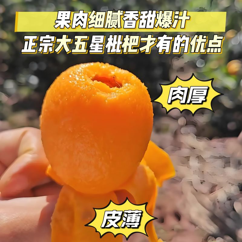 四川文宫五星大枇杷皮薄汁多批发支持一件代发