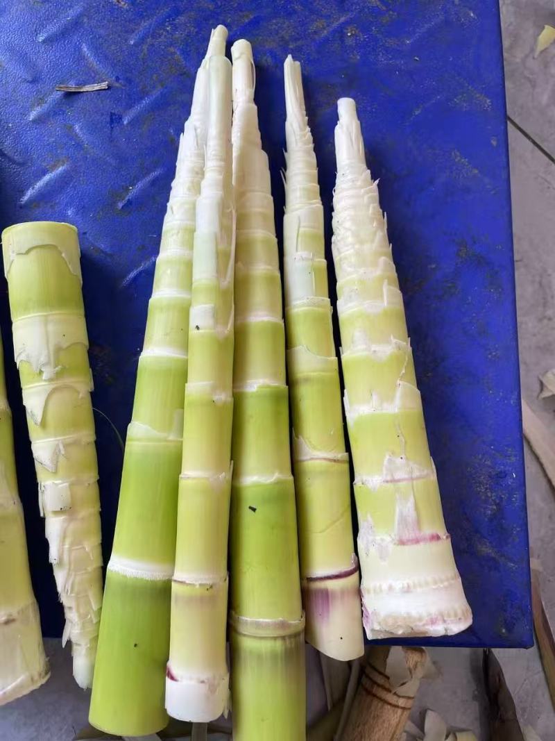 白家笋大量上市，产地直发，品质保障，价格美丽，欢迎咨询