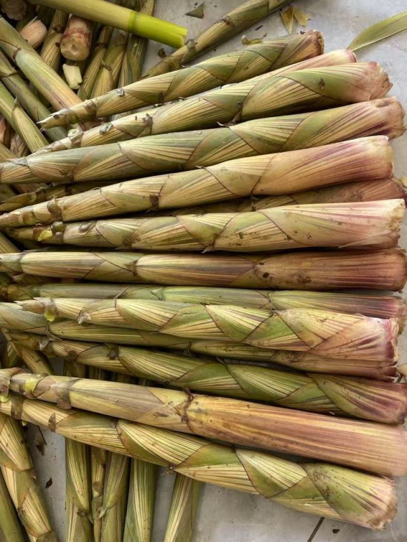 白家笋大量上市，产地直发，品质保障，价格美丽，欢迎咨询