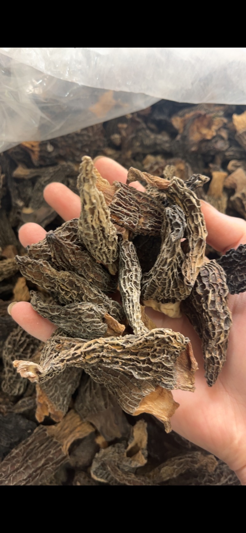产地直销，羊肚菌各规格胶片、焦片，半焦片，黑焦片