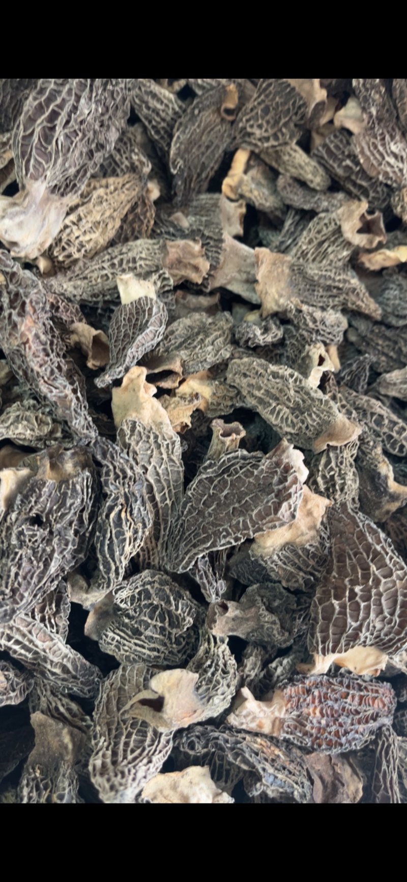 产地直销，羊肚菌各规格胶片、焦片，半焦片，黑焦片