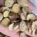 甘草地摊电商批发甘草片甘肃大圆红皮甘草片甘草片甘草干